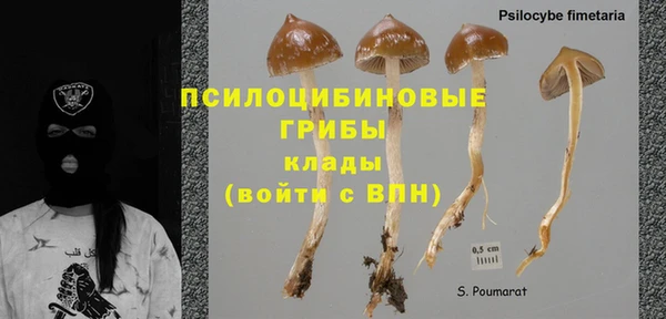 прущие крисы Строитель