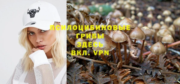 прущий лед Ступино