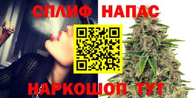 шишки Волгодонск