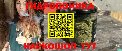 шишки Волгодонск