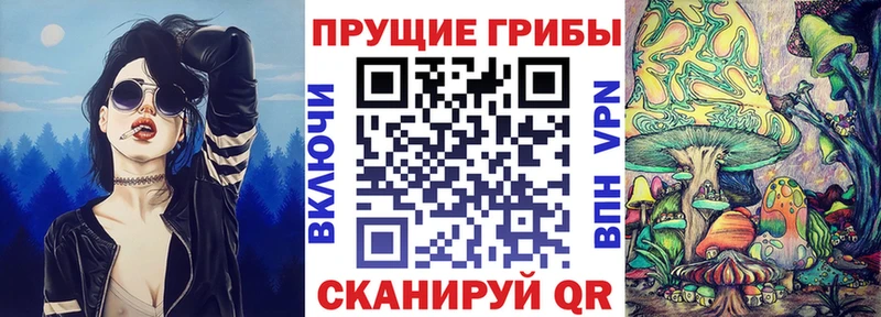 мега ONION  Шадринск  Псилоцибиновые грибы Psilocybine cubensis 