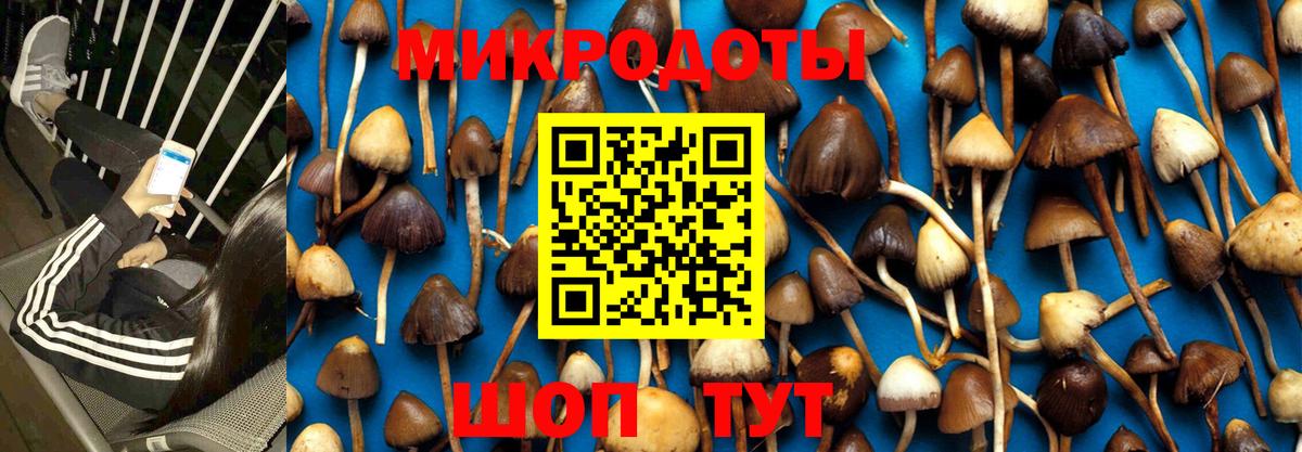 Шадринск  Галлюциногенные грибы мицелий  Вход с VPN 