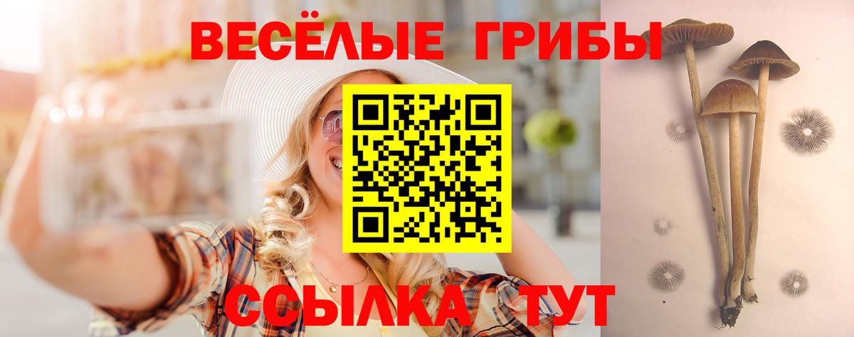 Галлюциногенные грибы мицелий Шадринск