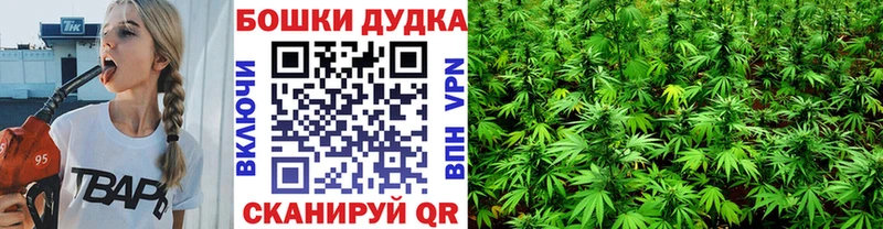Бошки марихуана семена  blacksprut tor  Шадринск 